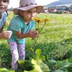 phoca_thumb_m_veverky u mlynku 3 Fotogalerie